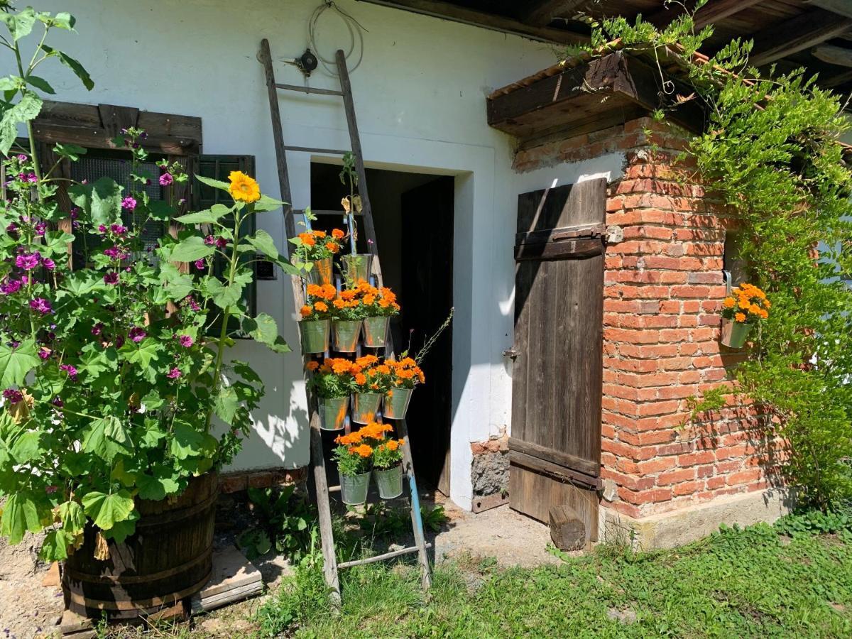 Varm: Vegan Bio-Farm Stay for Dog Lovers and Nature Enthusiasts Sulb Exterior photo